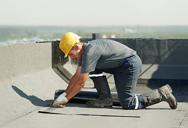 Best Specialty Insulation in Orangetree, FL